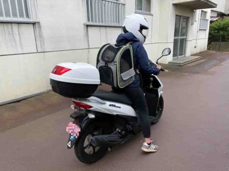 交通違反 バイクや自転車に犬を乗せるのにおすすめリュックを紹介 ペンギンブログ 交通違反 バイクや自転車に犬を乗せるのにおすすめリュックを紹介 ペンギンブログ