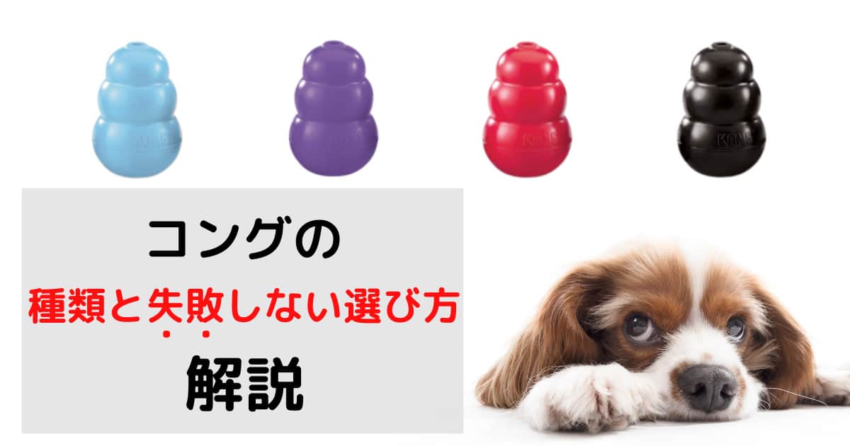 全４種類！徹底比較犬用おもちゃコングの違いと失敗しない選び方 | ペンギンブログ