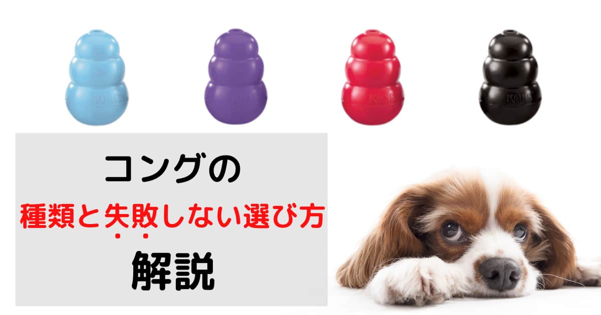 全4種類 徹底比較 犬用おもちゃコングの違いと失敗しない選び方 ペンギンブログ 全4種類 徹底比較 犬用おもちゃコングの違いと失敗しない選び方 ペンギンブログ